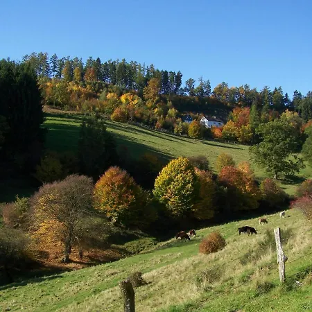 Ferienwohnungen Sonnenpfad Schmallenberg Room photo