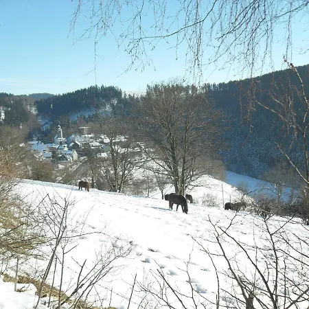 Ferienwohnungen Sonnenpfad Schmallenberg Room photo