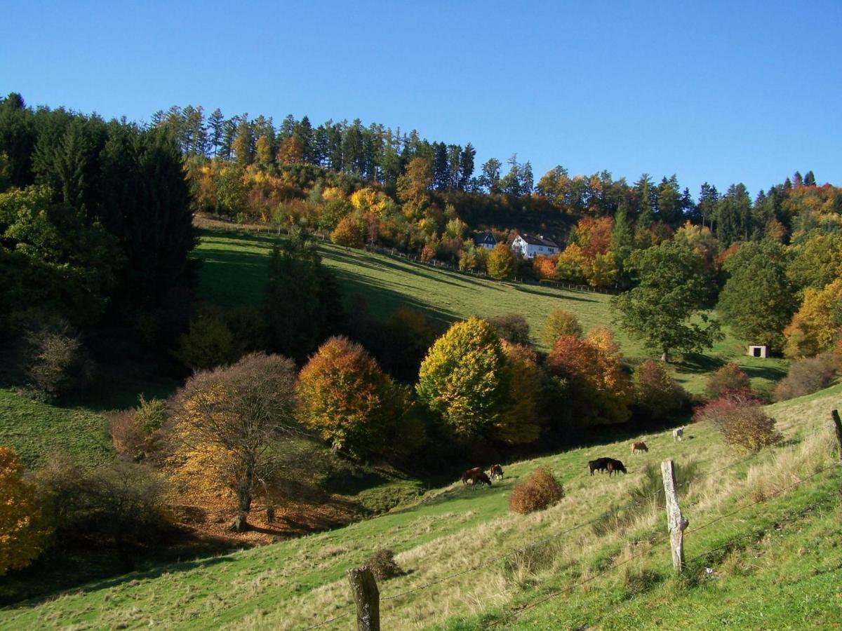 Sonnenpfad Apartment Schmallenberg